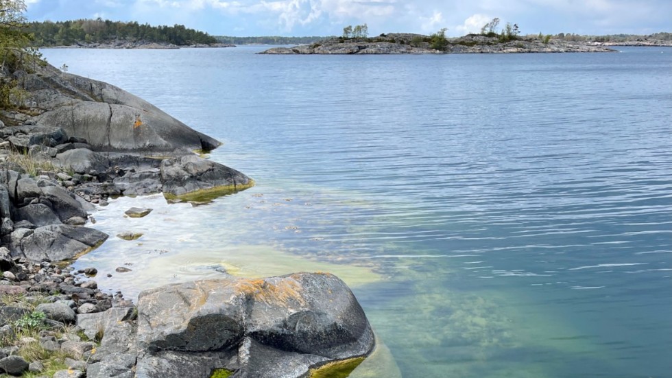 Insändarskribenten menar att ytan på Gamlebofjärdens naturreservat behöver minskas för att Gryt ska kunna utvecklas. Arkivbild.