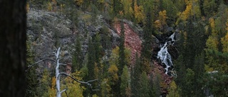 Här är Norrbottens nya naturreservat