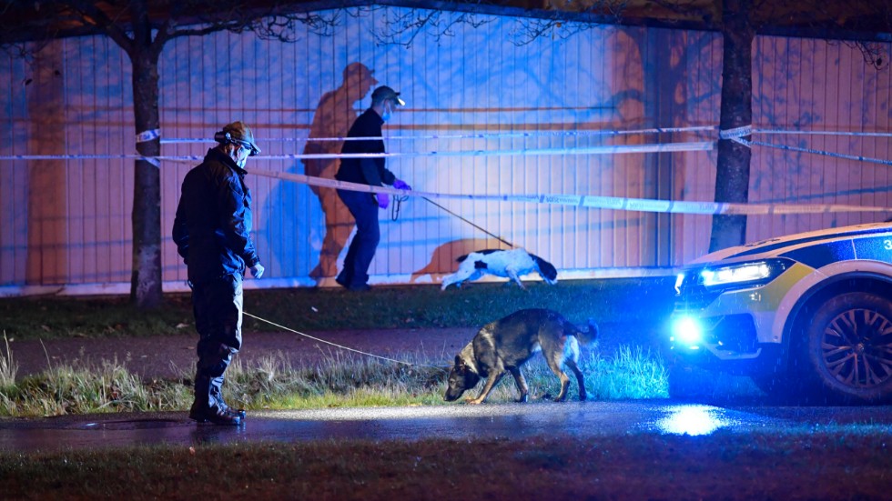 Polisen arbetar med hundar runt den plats i Jordbro där en man hittades skjuten på söndagskvällen.