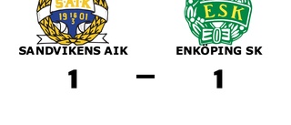 Delad pott för Sandvikens AIK och Enköping SK
