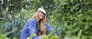 Trädgårdsmästaren om klimatklok odling – "Vi odlar jord, inte bara växter"