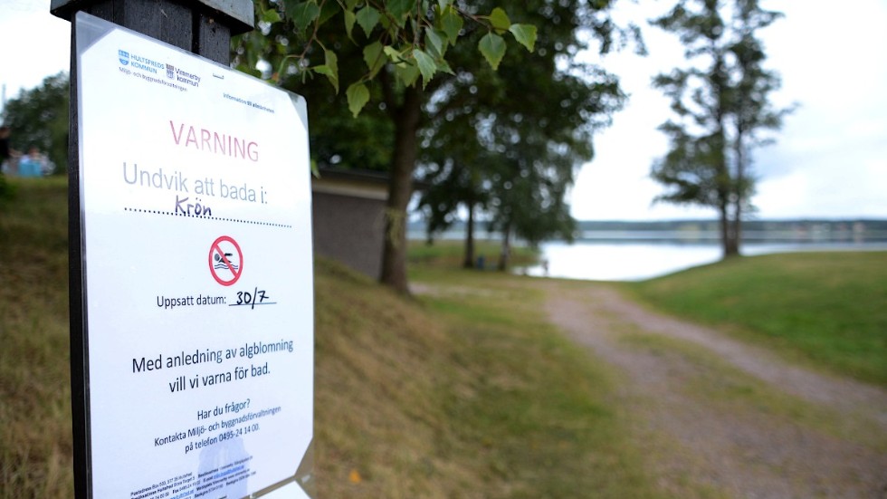Varning för bad i Krön på grund av algblomning. Kommunen avråder sen slutet av förra veckan för bad i sjöb Krön. Det gäller särskilt barn och husdjur.