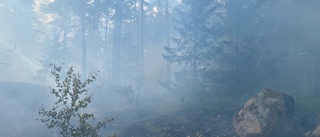 Brandflyg vattenbombade skogsbrand i Boxholm