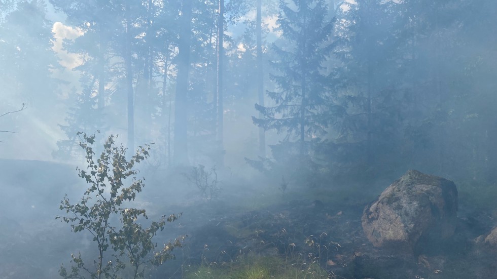 Det är viktigt att skogsägare, skogsentreprenörer och allmänhet i Sörmland är förberedda så att brand i skog kan undvikas. 