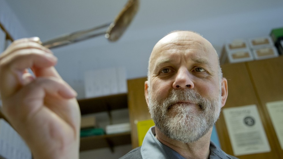 Ted von Proschwitz, docent vid Göteborgs naturhistoriska museum och expert på mördarsniglar. Arkivbild.