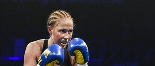 Boxare dog efter match – svenskfajt skjuts upp