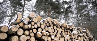 Virkespriset höjs – men inte skogsägarnas ersättning 