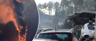 Våldsam brand på bilskrot – minst 100 bilar förstörda: Polisen efterlyser tips