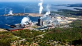 Skogsjätten investerar 450 miljoner kronor – i fluffmassa till mensskydd och blöjor