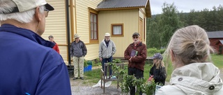 Nya Blomsterstigen kombinerar kunskap och motion: "Kul att så många ville komma"