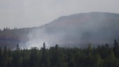 Därför behöver länets skogar brinna