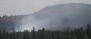 Därför behöver länets skogar brinna