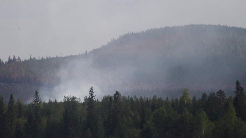 En skogsbrand är inte alltid av ondo, utan brända träd kan gynna den biologiska mångfalden. Men bränningarna bör ske under kontrollerade former, menar skribenten.