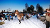 Begränsat antal besökare på julmarknaden på Hägnan