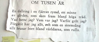 Dikten som gör mig tjutfärdig