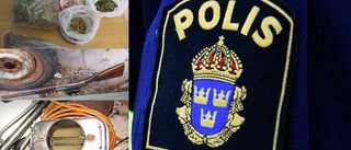 Brottsmisstänkt man hävdar att han odlat tomater - inte cannabis