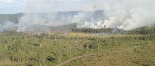 Stor skogsbrand vid Klöverträsk