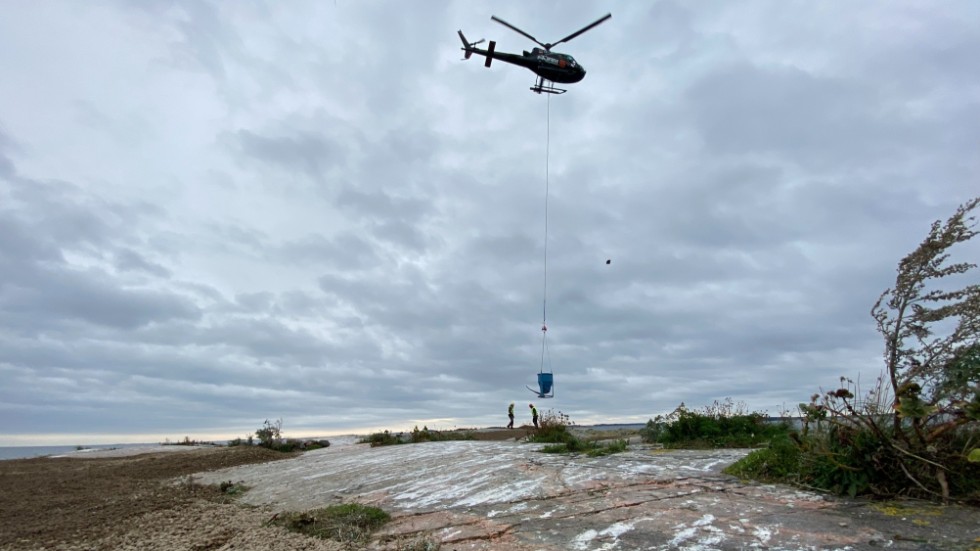 Helikoptern får med sig ett ton grus vid varje flygning från fastlandet till Skräntärnornas ö.