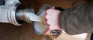 Ny plan ska stärka landets mjölkbönder