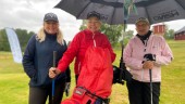 Många golfsugna damer på Bråviken – så gick tävlingarna