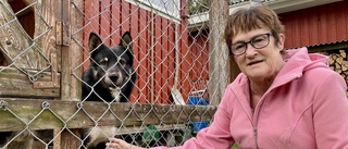 Lek med tändstickor gjorde sjubarnsfamilj hemlös • I dag berättar Irene Södersten, 70, om "hysset" hon gjorde som treåring