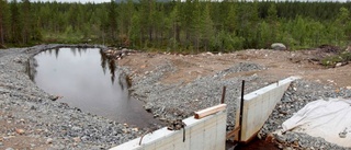 Boliden bötfällt för miljöbrott i Laver