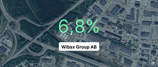 Här är siffrorna som visar hur det gick för Wibax Group AB i fjol