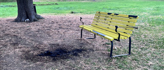 Larm om öppen eld i centrala parken