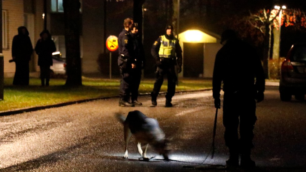 Flera polispatruller ryckte ut till bostadsområdet Hagaberg i Lindesberg efter larm om skottlossning. Nu har två Eskilstunabor häktats misstänkta för bland annat grovt vapenbrott.