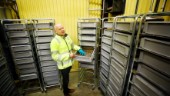 Unikt larvprojekt i Eskilstuna – blir fiskmat