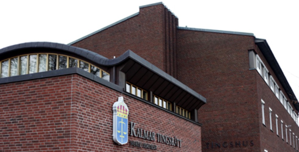 En man i 30-årsåldern åtalas vid Kalmar Tingsrätt, misstänkt för djurplågeri. Åklagaren menar att mannen sparkat på en igelkott ett flertal gånger, vilket medfört att djuret dött.