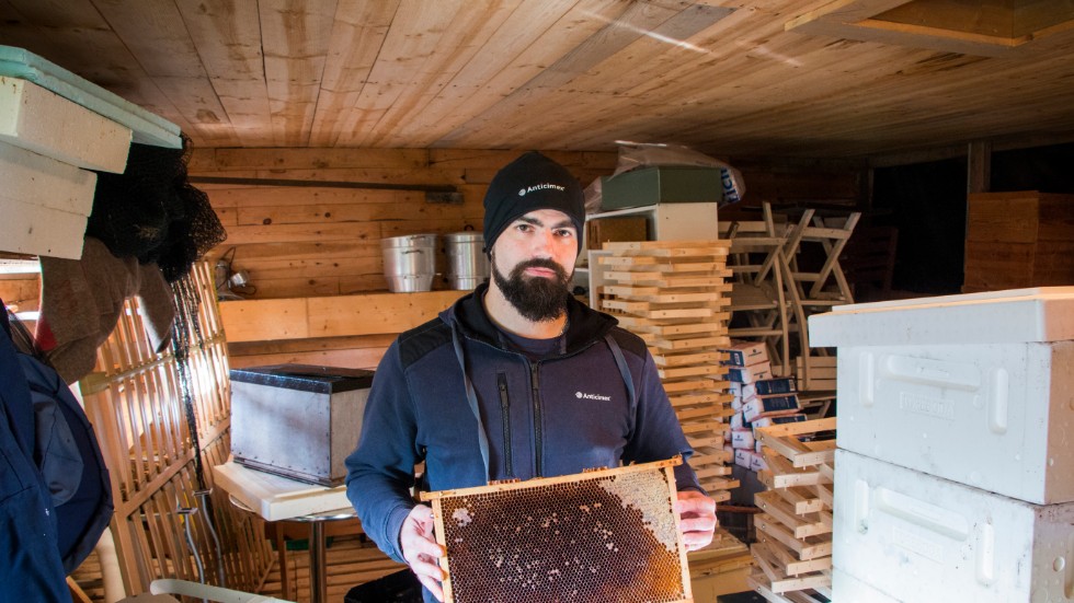 Andreas Schleiss visar en ram från ett bisamhälle som dött. Han känner till flera biodlare i Piteå som förlorat bin.