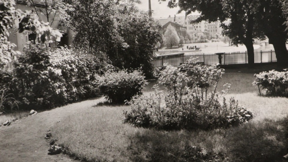 Samtidigt kunde naturligtvis även Bråddgatan visa upp en finare sida när det begav sig. Bilden visar trädgården på Bråddgatan 7.