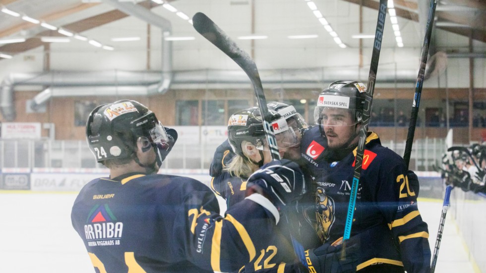 Visby Roma blev utslaget av Tranås i playoff 2 i våras. Nu siktar laget på kvalserien till Hockeyallsvenskan.