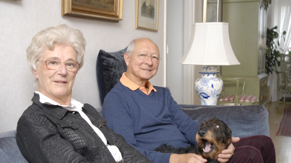 Louise Hennix och maken Lars är fodervärdar till Polo, en strävhårig tax som kommit till Sverige från Italien för att avelsvägen sprida sina gener. 