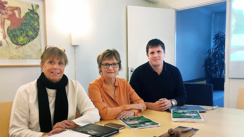Ewa Callhammar (L), Marie-Louise Forslund Mustaniemi (KD) och Magnus Leivik (M) har presenterat en gemensam budget för Region Sörmland för 2020. De vill att hälso- och sjukvården effektiviseras. 