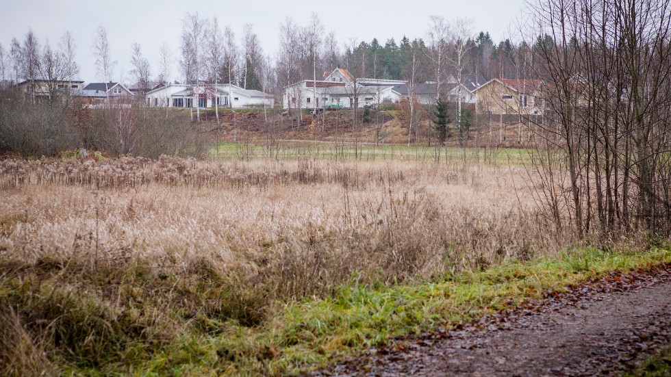Här i Luvsjöområdet har kommunen gett klartecken för att bygga omkring 90 bostäder.