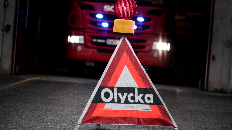 E 10 i Sakajärvi stängdes av på lördagseftermiddagen efter att en bilist krockat med en älg.