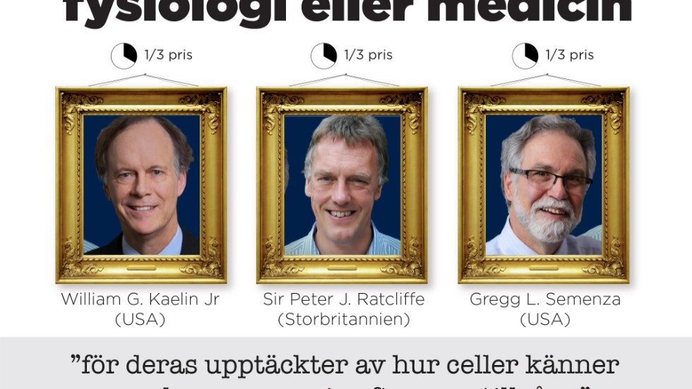 William Kaelin, Peter Ratcliffe och Gregg Semenza får dela på Nobelpriset i fysiologi eller medicin.