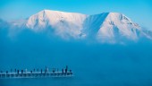 Arktis rekordstora ozonhål är borta