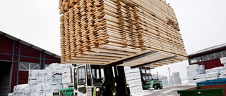 Återhämtning på trävarumarknaden