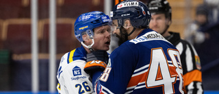 LISTA: De tio bästa värvningarna till hockeyallsvenskan