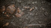 Privatperson gjorde märkligt fynd – hittade del av ett mänskligt kranium