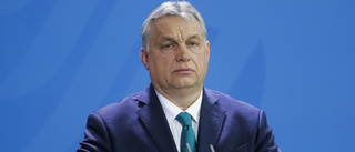 Orbán styr i praktiken genom dekret