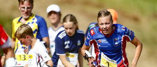 SM-tävlingarna i Boden och Luleå kan ställas in