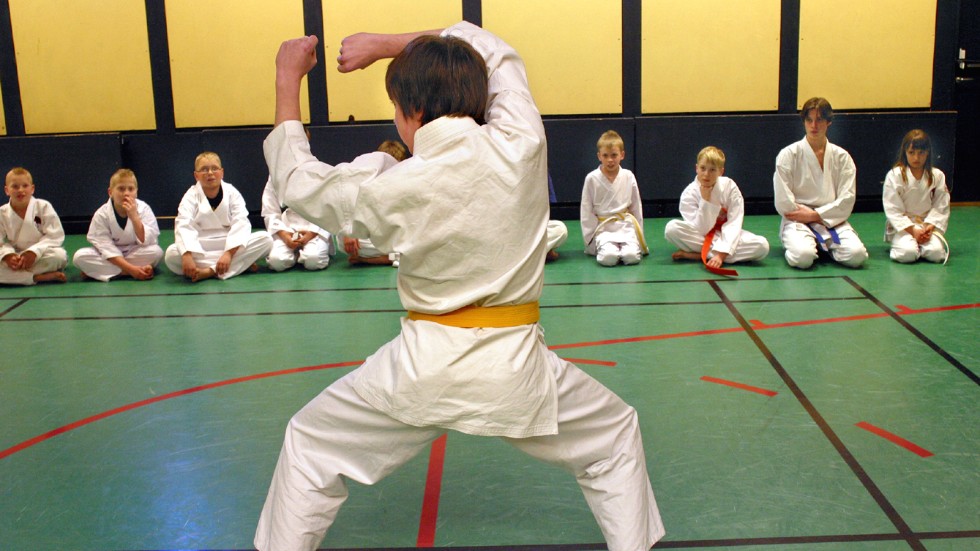 Förra året tilldelades Kisa Karateklubb en summa på 8 000 kronor från Birgersonska fonden.