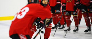 Nordin på is med Luleå Hockey – men comebacken dröjer: "Ont kommer jag nog att ha under en längre tid"