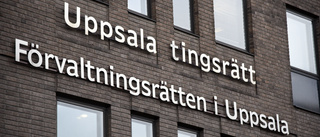 Man åtalas för sju våldtäkter i Uppsala