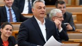 M och KD vill utesluta Orbáns parti
