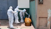Hundratals döda hämtade i virusdrabbad stad